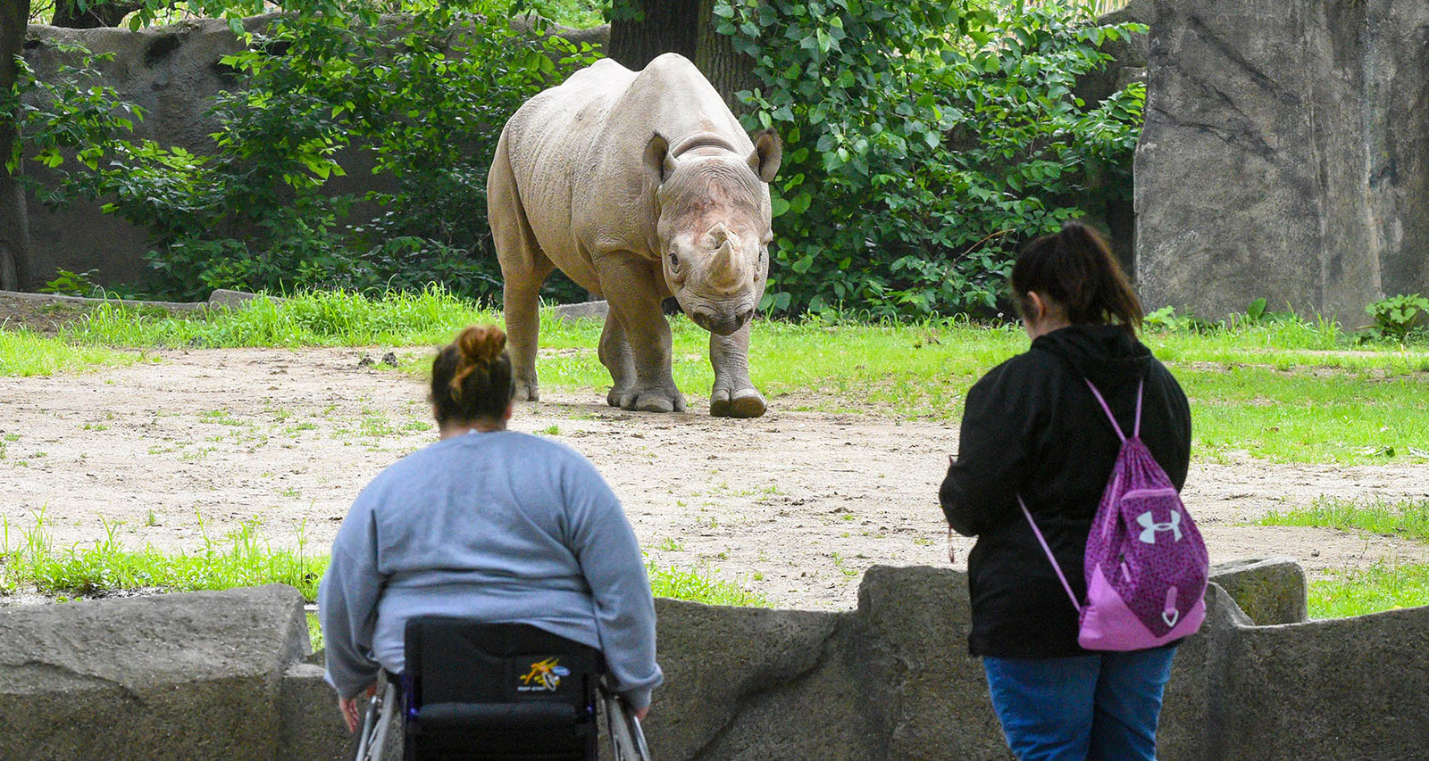 Photo: /73/BROOKFIELDZOO Itineraries-Hero-Brookfield-Zoo-Credit-CZS.jpg